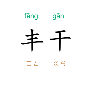 丰干