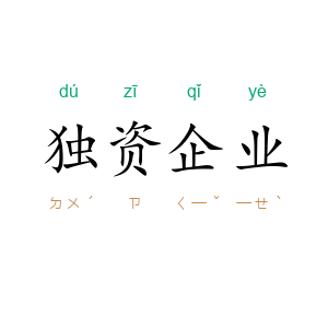 独资企业