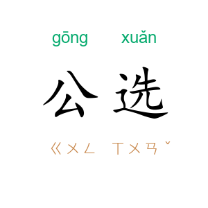 公选