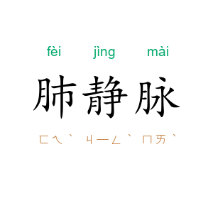 肺静脉
