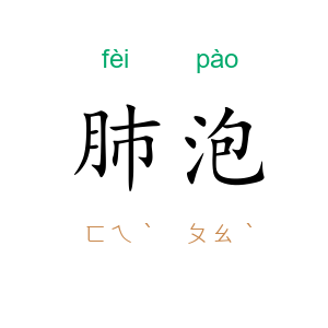 肺泡