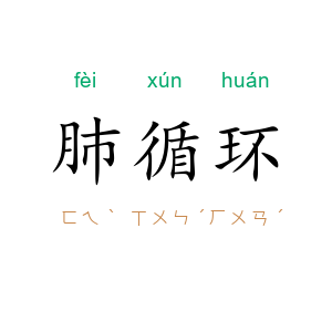 肺循环