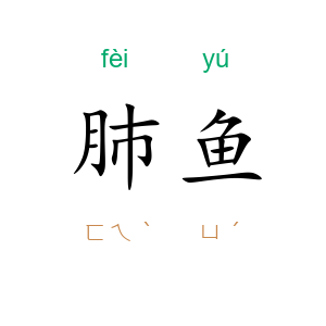 肺鱼