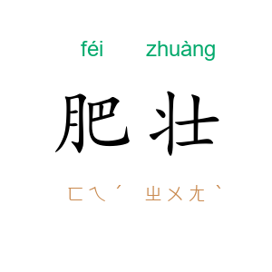 肥壮