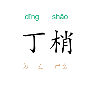 丁梢