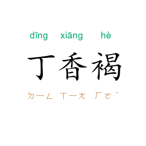 丁香褐