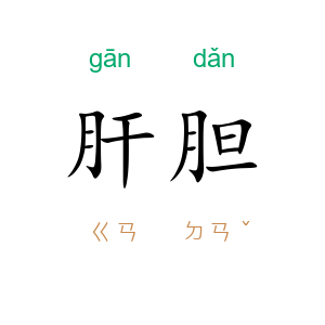 肝胆