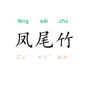 凤尾竹