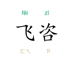 飞咨