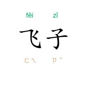 飞子