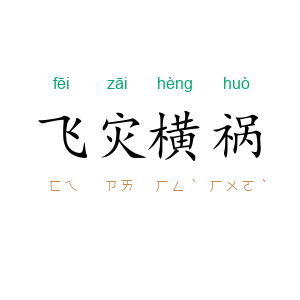 飞灾横祸