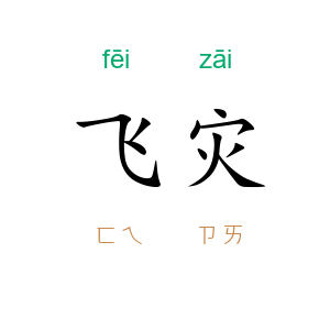 飞灾