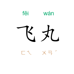 飞丸