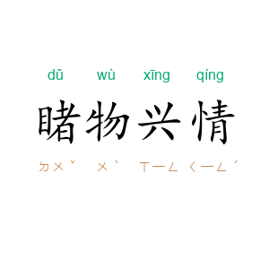 睹物兴情