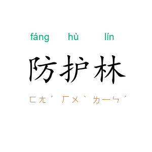 防护林