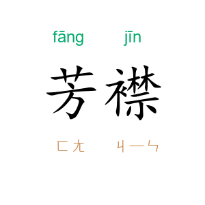 芳襟