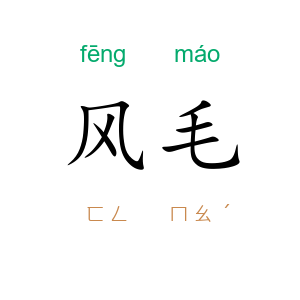 风毛