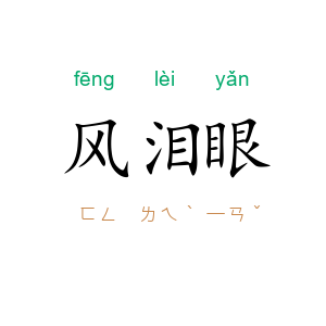 风泪眼