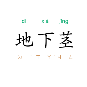 地下茎