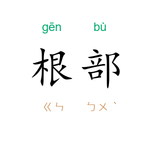 根部