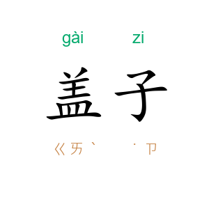 盖子
