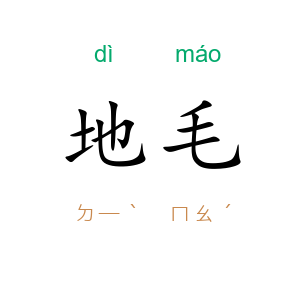 地毛