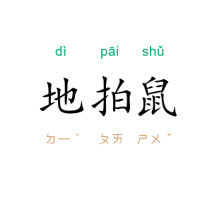 地拍鼠