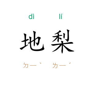 地梨