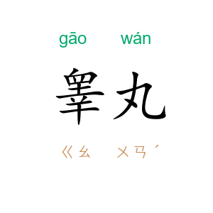 睾丸