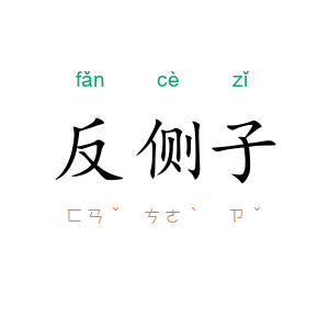 反侧子