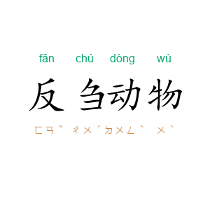 反刍动物