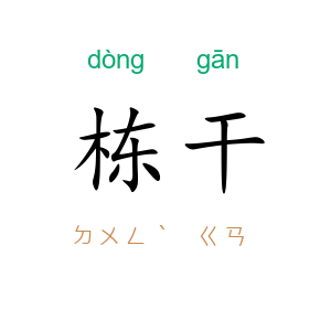 栋干
