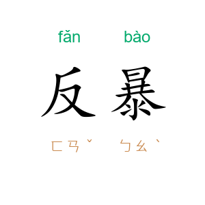 反暴