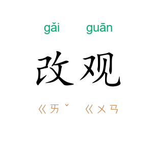 改观