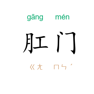 肛门