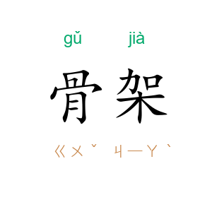 骨架