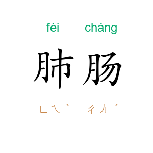 肺肠