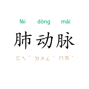 肺动脉