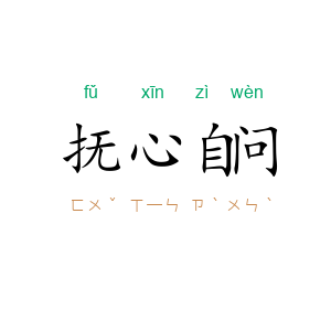 抚心自问