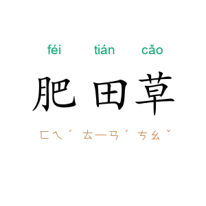 肥田草