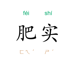 肥实