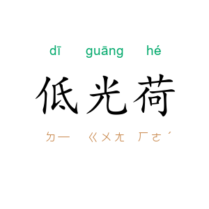 低光荷