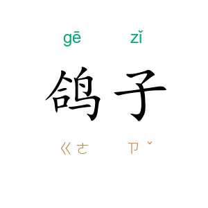 鸽子