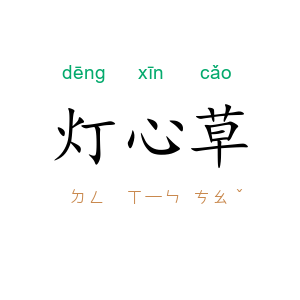 灯心草