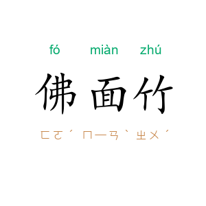 佛面竹