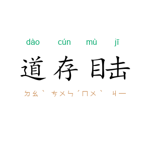道存目击