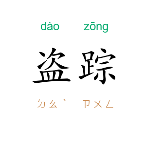 盗踪