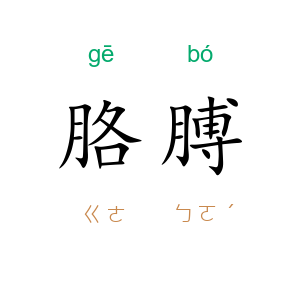 胳膊