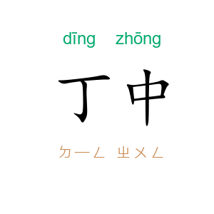 丁中