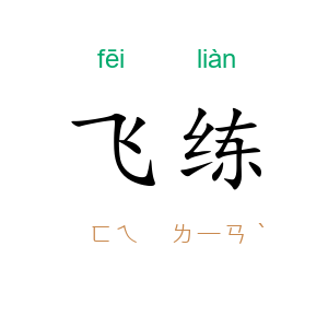 飞练